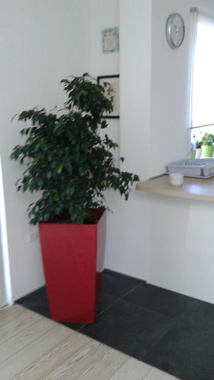 Penthouse Apartment Zadar Bagian luar foto